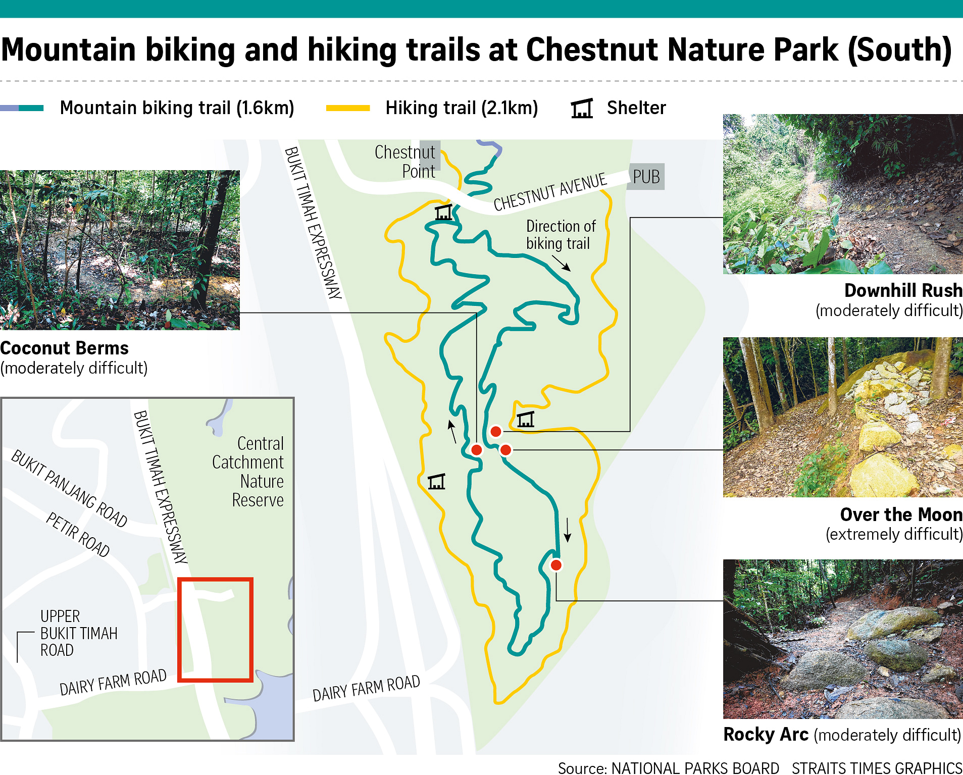 Chestnut discount mtb trail