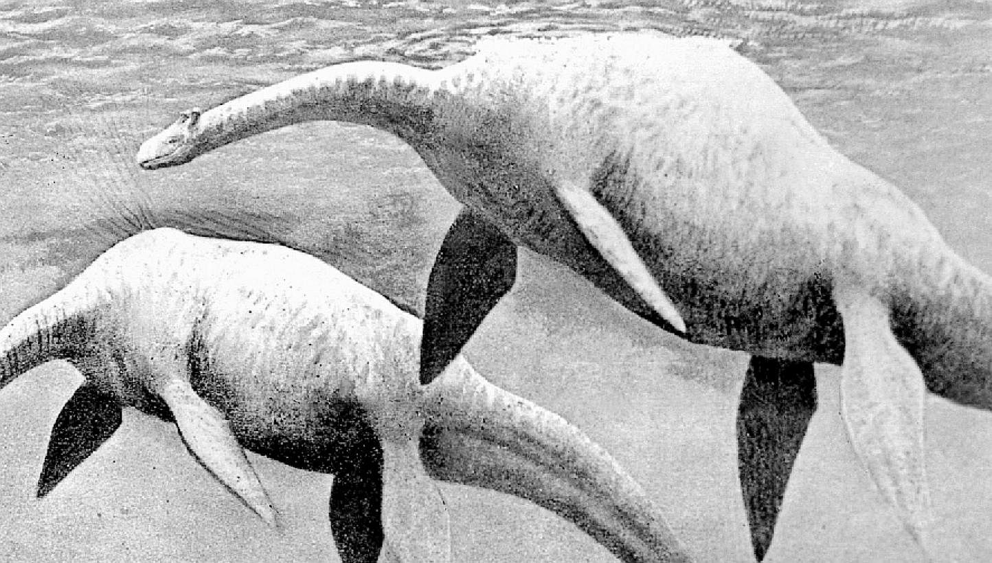Nessie, from the waters of a lake in northern Scotland, is another of the more well-known cryptids, with expeditions - including some involving sonar technology - being sent to try to see if the creature is real. -- PHOTO: ST LIBRARY FILE