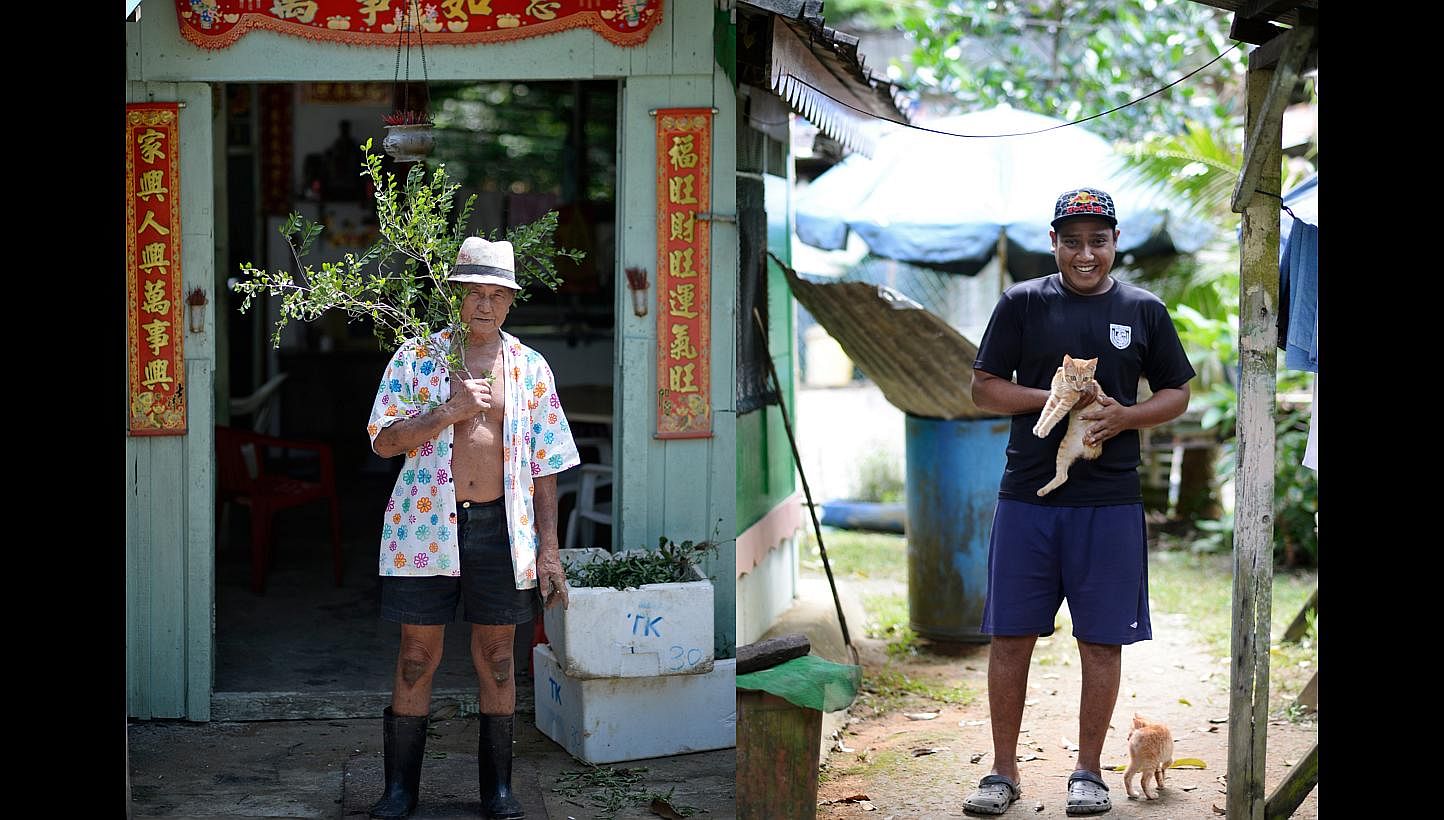 Mr Tan Leong Kiat (left), 84, is the oldest resident on Pulau Ubin, and Mr Mohammad Fadil (right), 30, is the youngest. Mr Tan moved to the island because he wanted to plant herbs. Mr Mohammad, a bachelor, spent time on the island as a child, but mov