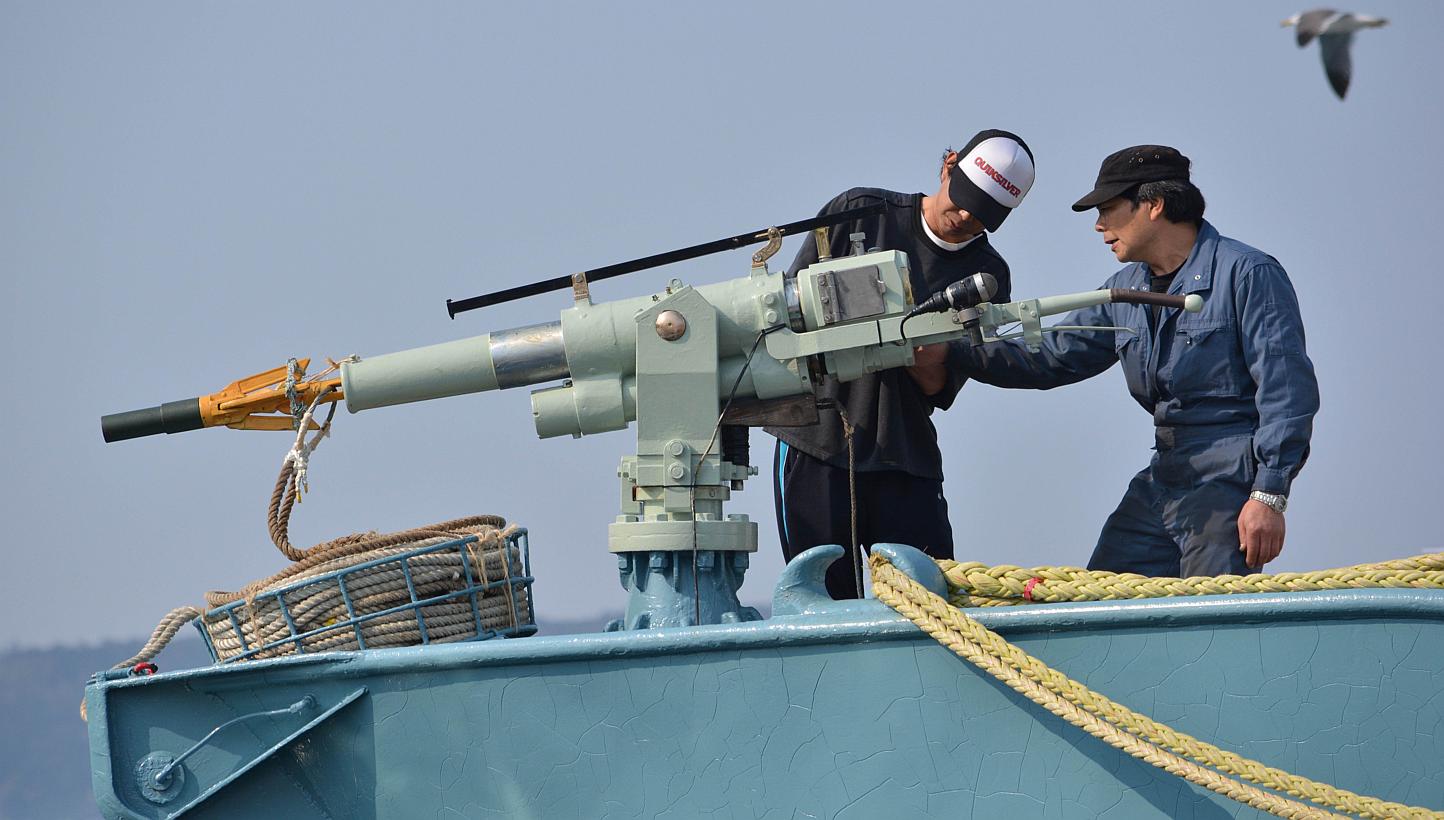 Crew members of a whaling ship checking a harpoon before departure at Ayukawa port in Ishinomaki in April 2014. Tokyo has said this season's excursion, expected to last until March 28, will not involve any lethal hunting. -- PHOTO: AFP&nbsp;