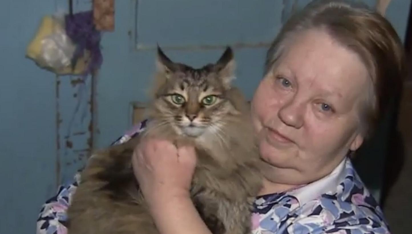 A screenshot of Masha from an online report, after the homeless cat won praise for keeping warm a baby boy abandoned in a chilly entrance-way in the town of Obninsk in Russia. Resident Nadezhda Makhovikova told REN TV she went out after hea
