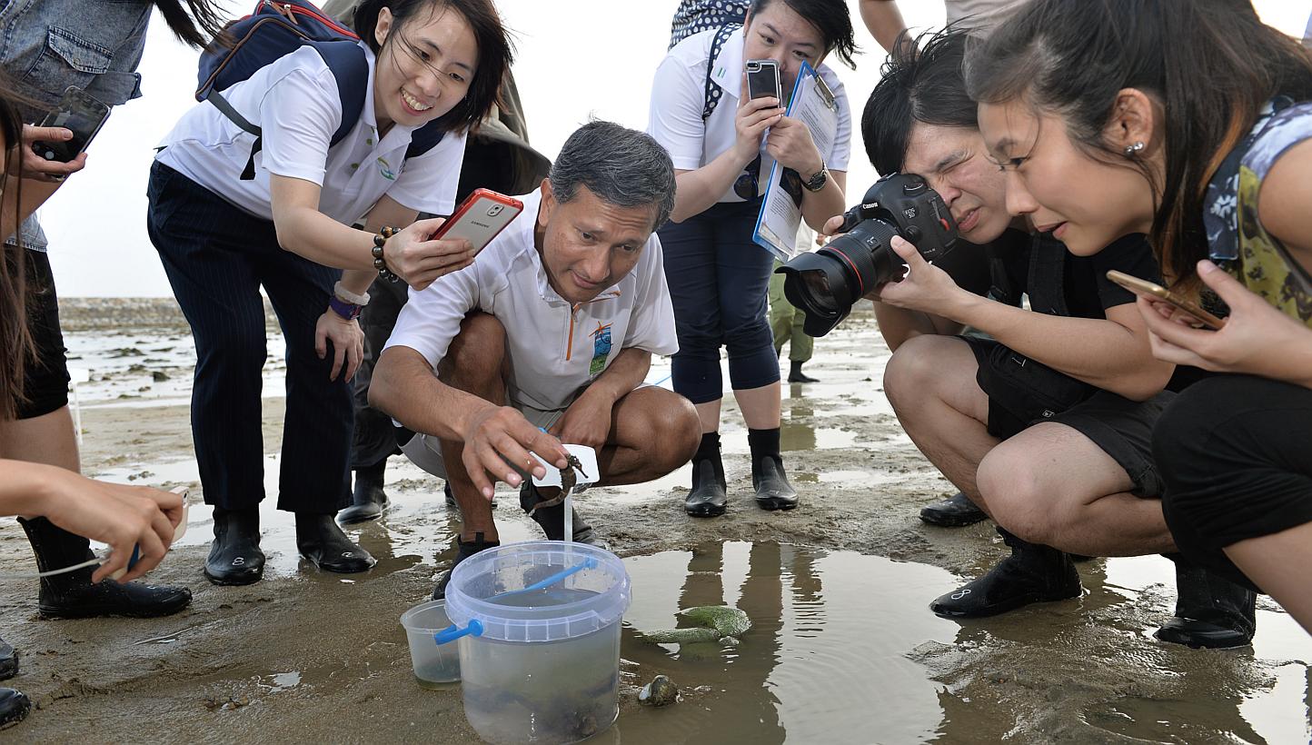 Minister for the Environment and Water Resources Vivian Balakrishnan picking up a seahorse on Big Sister's Island, one of the two islands that make up Sisters' Islands, yesterday. The seahorse is among the many creatures found along the island's coas
