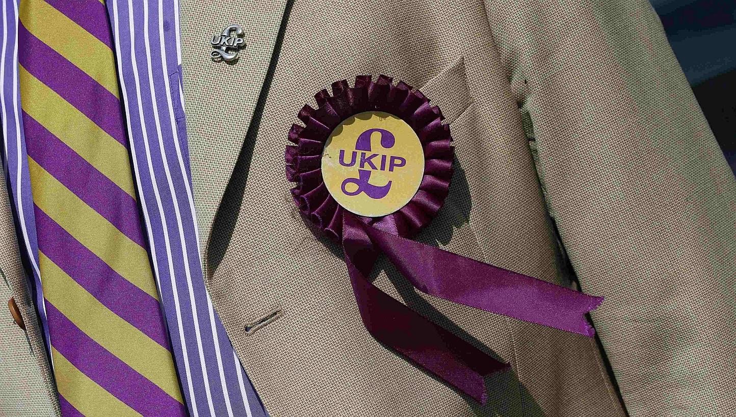 A supporter is seen wearing a United Kingdom Independence Party (UKIP) badge before meeting the leader of the party Nigel Farage, at a campaign event in South Ockendon, Essex in this May 23, 2014 file photo. -- PHOTO: REUTERS