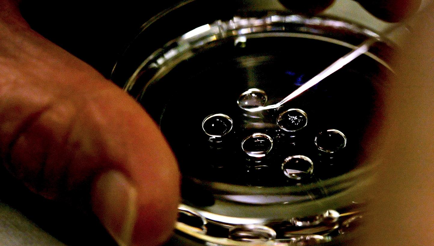 An embryologist placing human embryos onto a petri dish at the La Jolla IVF Lab in La Jolla, California. The "three-parent"&nbsp;technique for&nbsp;in-vitro fertilisation is called mitochondrial donation, and babies will have genetic material from th