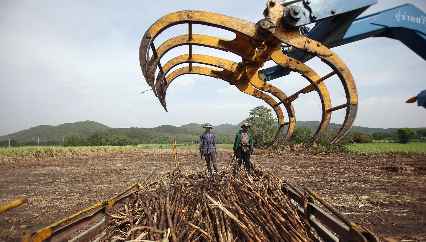 Thailand will experience its worst drought in more than a decade this year, the irrigation department said on Thursday, damaging crops in one of the world's biggest rice-exporting nations. -- PHOTO: BLOOMBERG