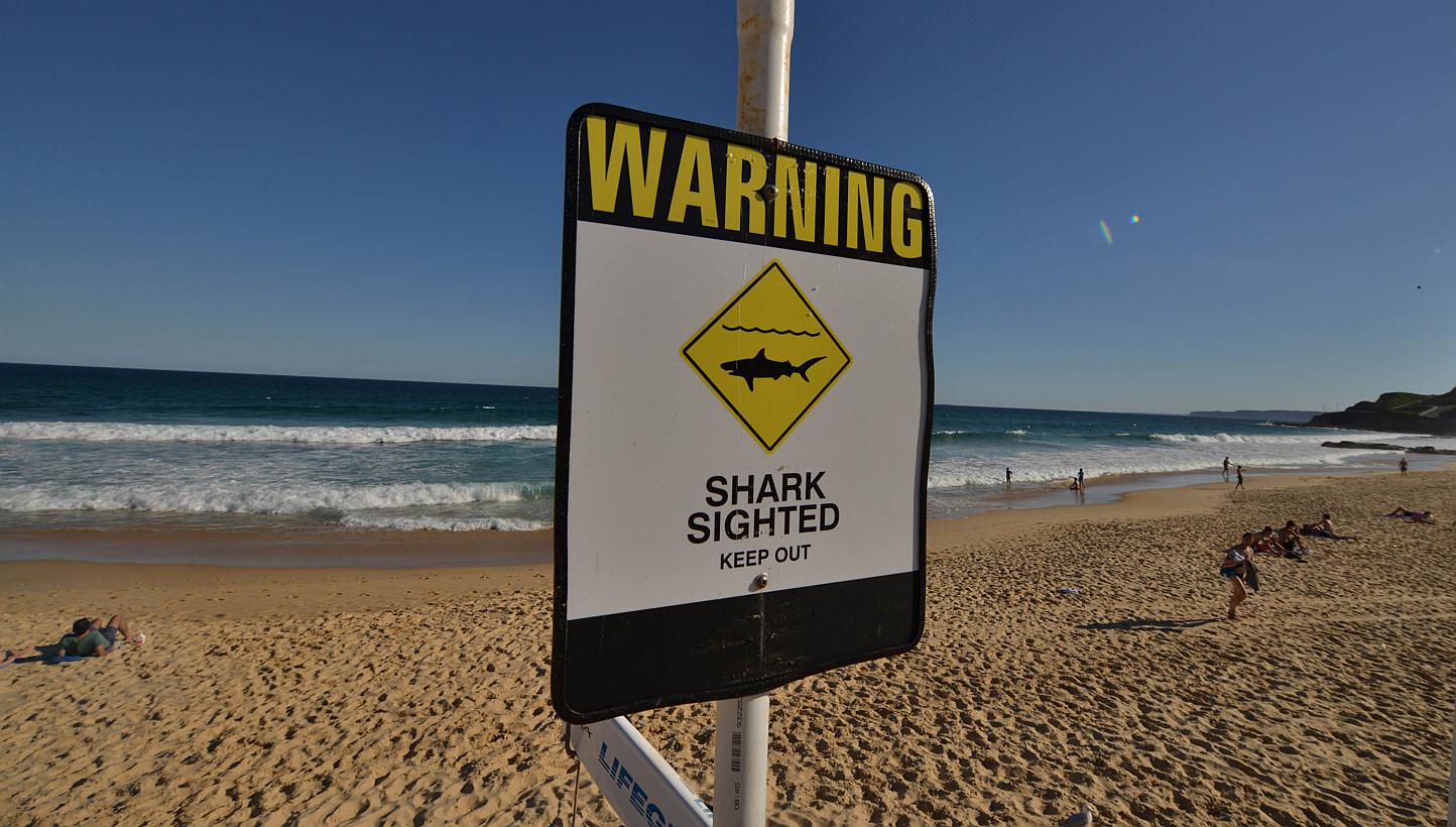 A shark warning sign on the beach in the northern New South Wales city of Newcastle on Jan 17, 2015. -- PHOTO: AFP