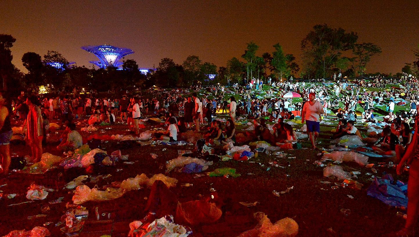 Rubbish left behind after Laneway music festival at Gardens by the Bay. There is growing evidence that the littering problem has become noticeably worse, and it isn't because it's someone else's fault. -- ST PHOTO: ALPHONSUS CHERN