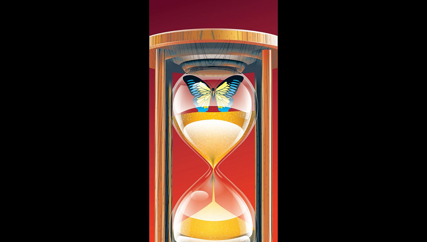 -- ST ILLUSTRATION: ADAM LEE