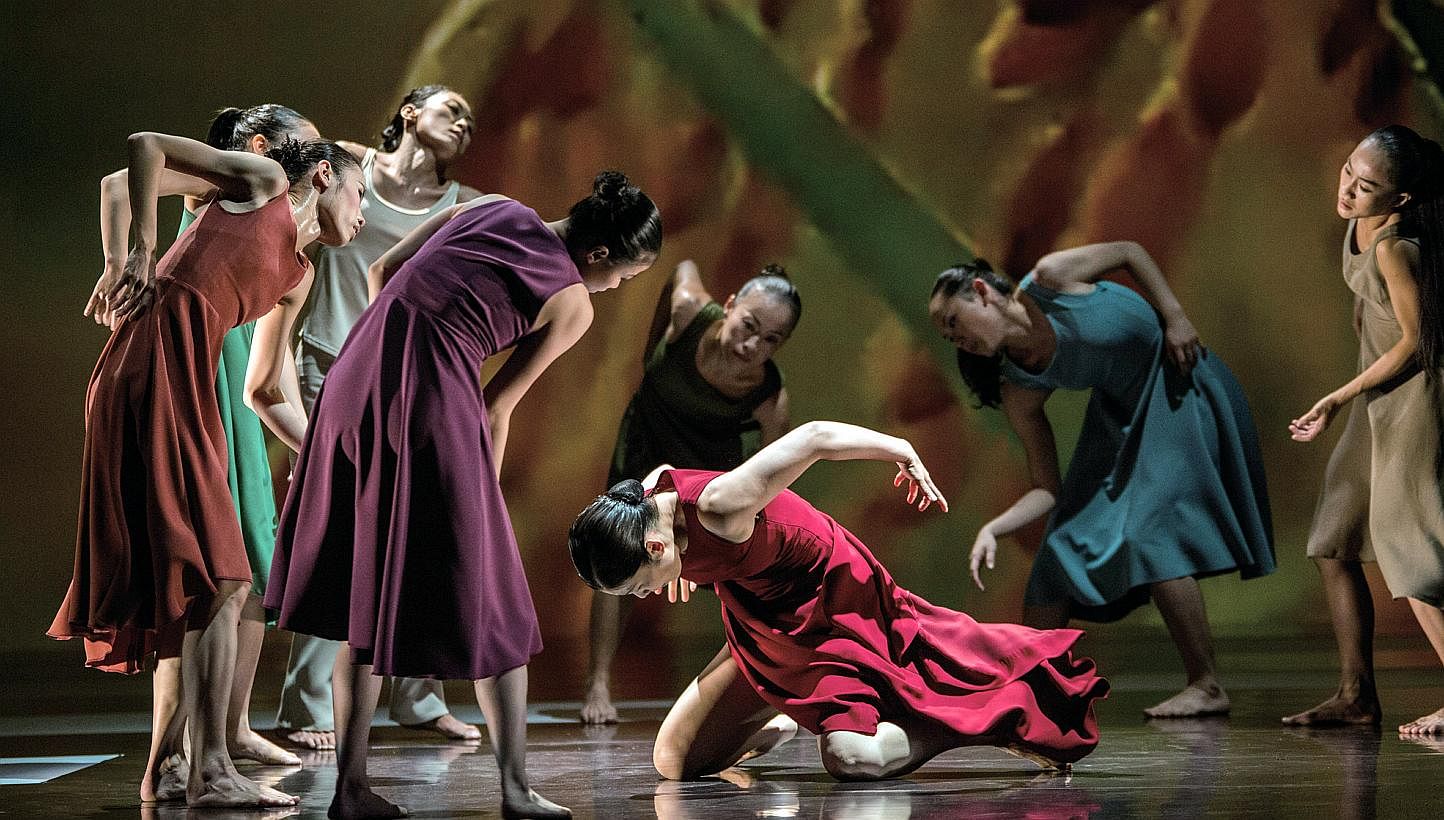 Cloud Gate Dance Theatre's Rice, staged at the Esplanade Theatre on Saturday, is not the first of Taiwanese choreographer Lin Hwai-min's pieces inspired by the humble grain which fuels most of Asia. -- PHOTO:&nbsp;LIU CHEN-HSIANG