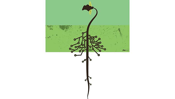 -- ST ILLUSTRATION: MANNY FRANCISCO