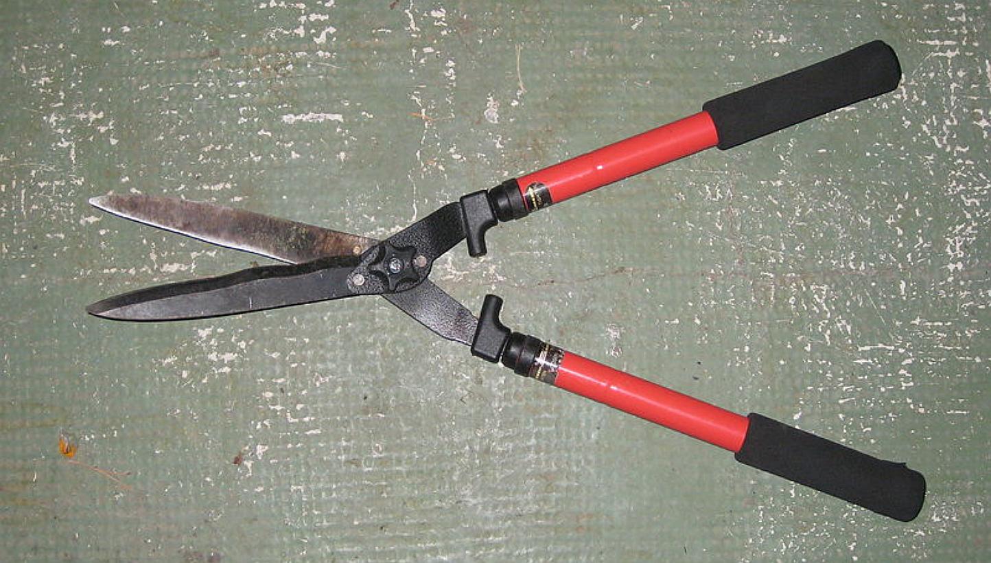 A Chinese woman has been accused of murdering a four-year-old boy and the child's grandmother with garden shears (example pictured) in Melbourne on the morning of Tuesday, March 31, 2015. -- PHOTO: WIKIMEDIA COMMONS 