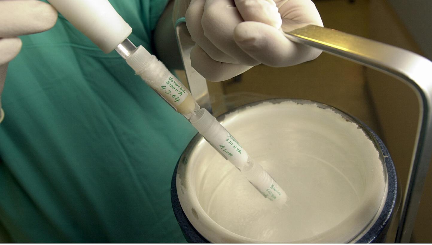 Tubes of frozen sperm. A leading sperm bank is relocating its headquarters next to a Florida university with the second-highest student enrolment in the United States in hopes of tapping into its large pool of healthy, well-educated potential donors.