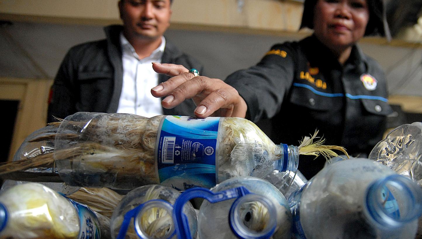A police officer holds a water bottle which with a yellow-crested cockatoo put inside for illegal trade at the customs office of Tanjung Perak port in Surabaya, East Java province, Indonesia, on May 4, 2015 in this picture taken by Antara Foto. -- PH