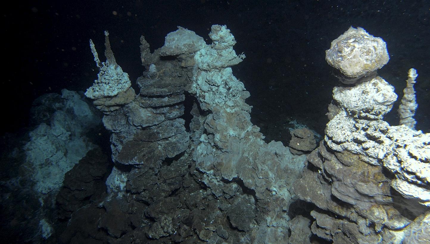 A hydrothermal vent field along the Arctic Mid-Ocean Ridge, close to where 'Loki' was found in marine sediments, is seen in this undated handout image courtesy of the the Centre for Geobiology at University of Bergen, Norway.-- PHOTO: REUTERS