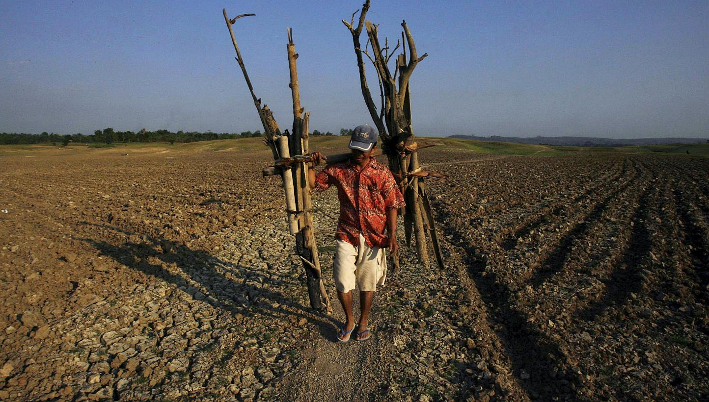 A man walks through a dried-up dam after collecting firewood in Gondang village of East Java province in this Aug 4, 2009 file photograph. -- PHOTO: REUTERS