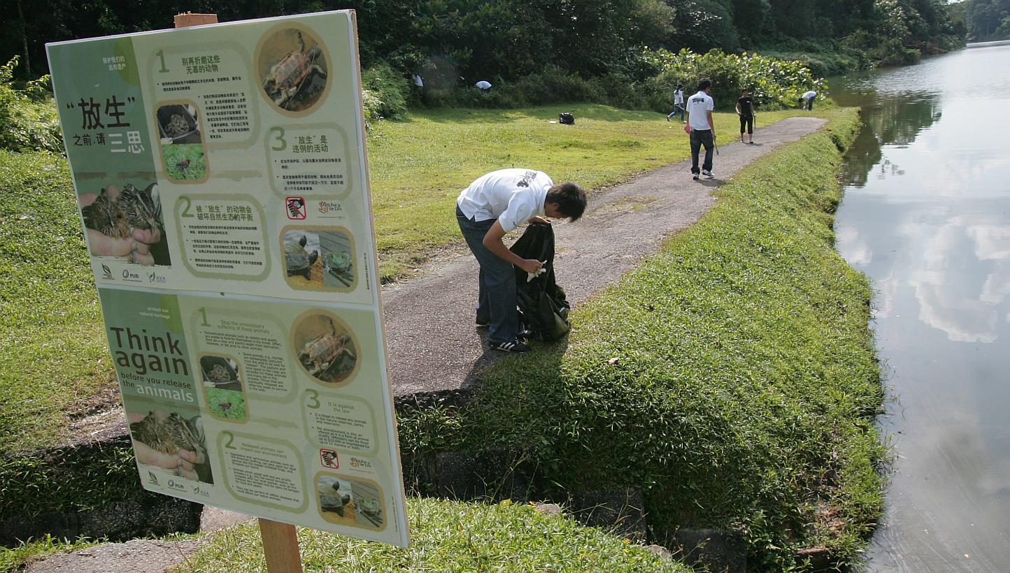 The authorities will be stepping up enforcement on people who release animals into the wild. From May 16 to the end of the month, officers from the National Parks Board (NParks) and national water agency PUB, along with volunteers, will be stationed