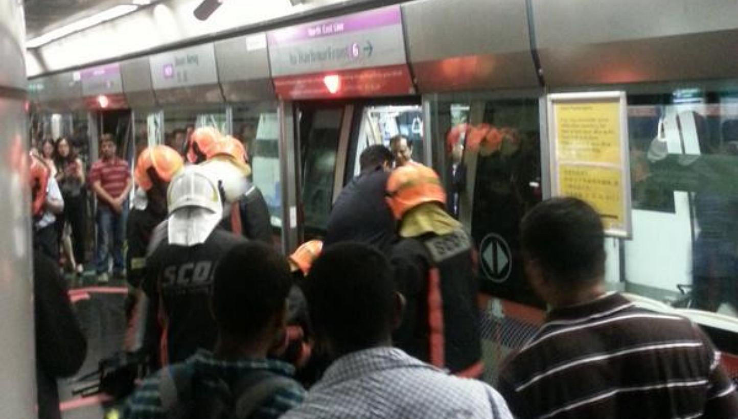 Train service was delayed for about half an hour on the North-East Line (NEL) on Thursday morning. -- PHOTO: TWITTER/@ESTELLEDREAM