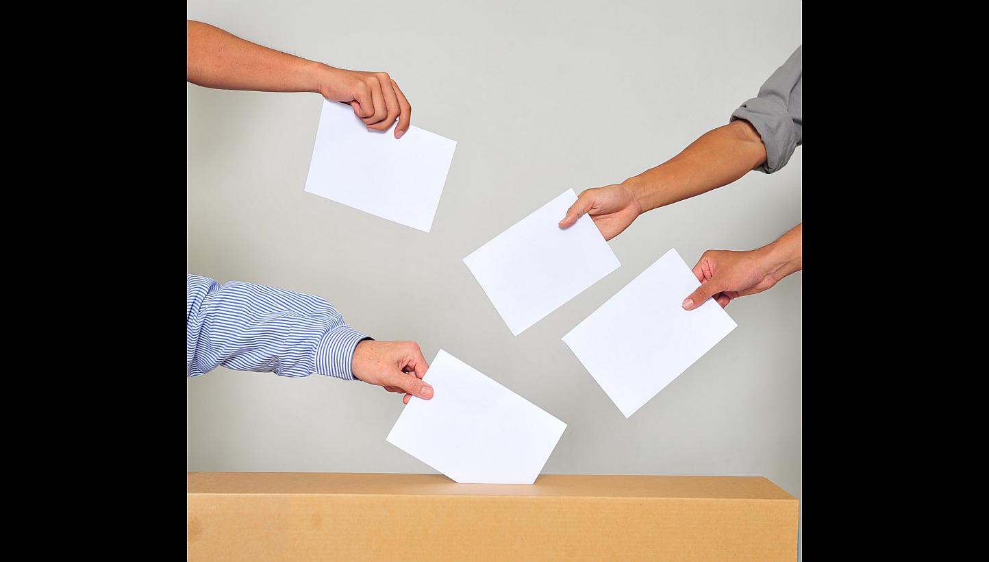 In the current party-versus-party system, what gets lost are the strengths of the "losing" party which could otherwise have been of value to the nation. The writer suggests that Singapore create its own model to allow for a capabilities-based legisla