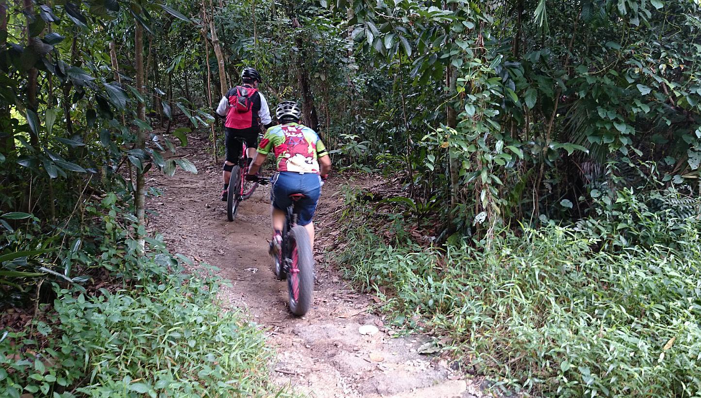 Mountain bikers have been riding on the 3km-long Butterfly trail for years. But the trail, which is located off Chestnut Avenue in the Central Catchment Nature Reserve, is likely to be closed permanently because of the construction of Chestnut Nature
