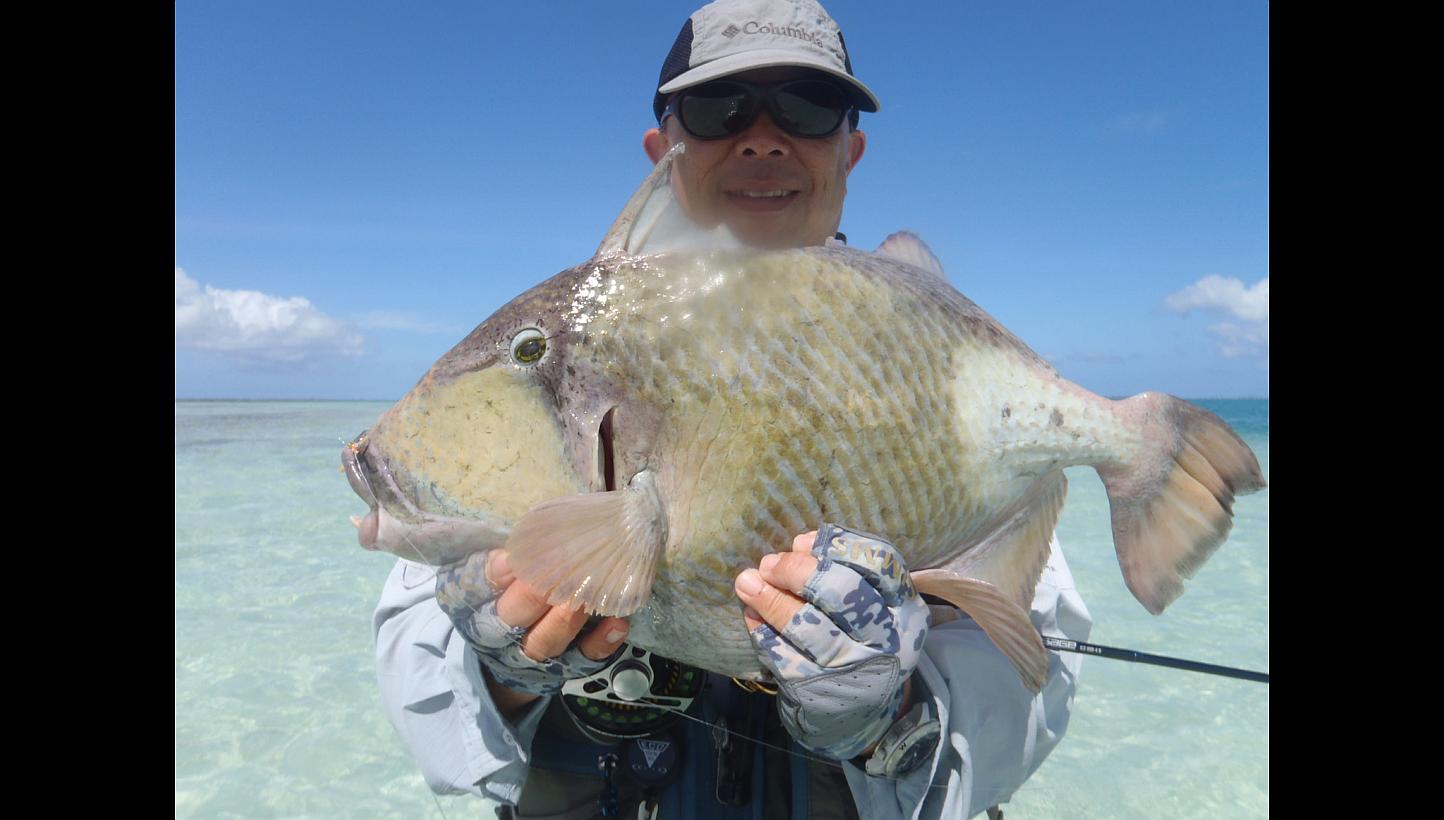 Mr Pang Kim Lock shows off a 5.3kg titan triggerfish caught on Christmas Island last November. It weighed more than twice the previous record. Mr Pang also caught a 5.61kg yellowmargin triggerfish.