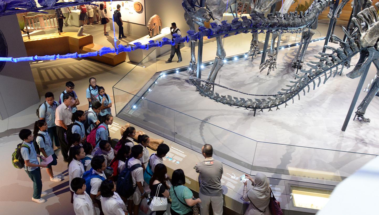 Students from Yuan Ching and Unity Secondary School looking at the dinosaurs display at the Lee Kong Chian Natural History Museum. -- ST PHOTO: AZIZ HUSSIN  