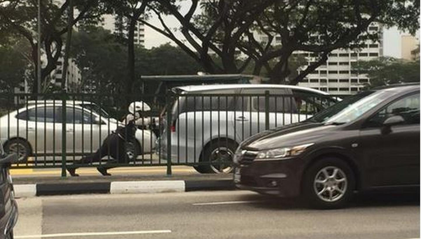 A Traffic Police officer seen pushing a car on a busy road is attracting online accolades for his "superhero" feat. -- PHOTO: SINGAPORE AUTOMOBILE.COM/FACEBOOK