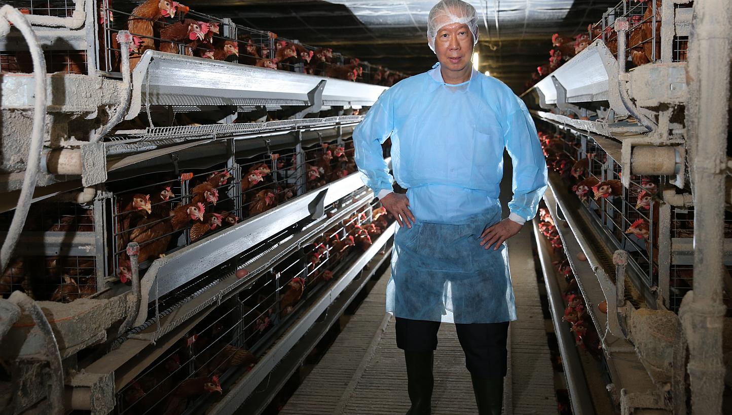 Mr Tan Chee Nam, general manager of production at Chew's Agriculture, said demand for its eggs has grown as Singaporeans have become more health-conscious. The farm sells 23 types of eggs, including low-cholesterol ones and eggs infused with omega-3 