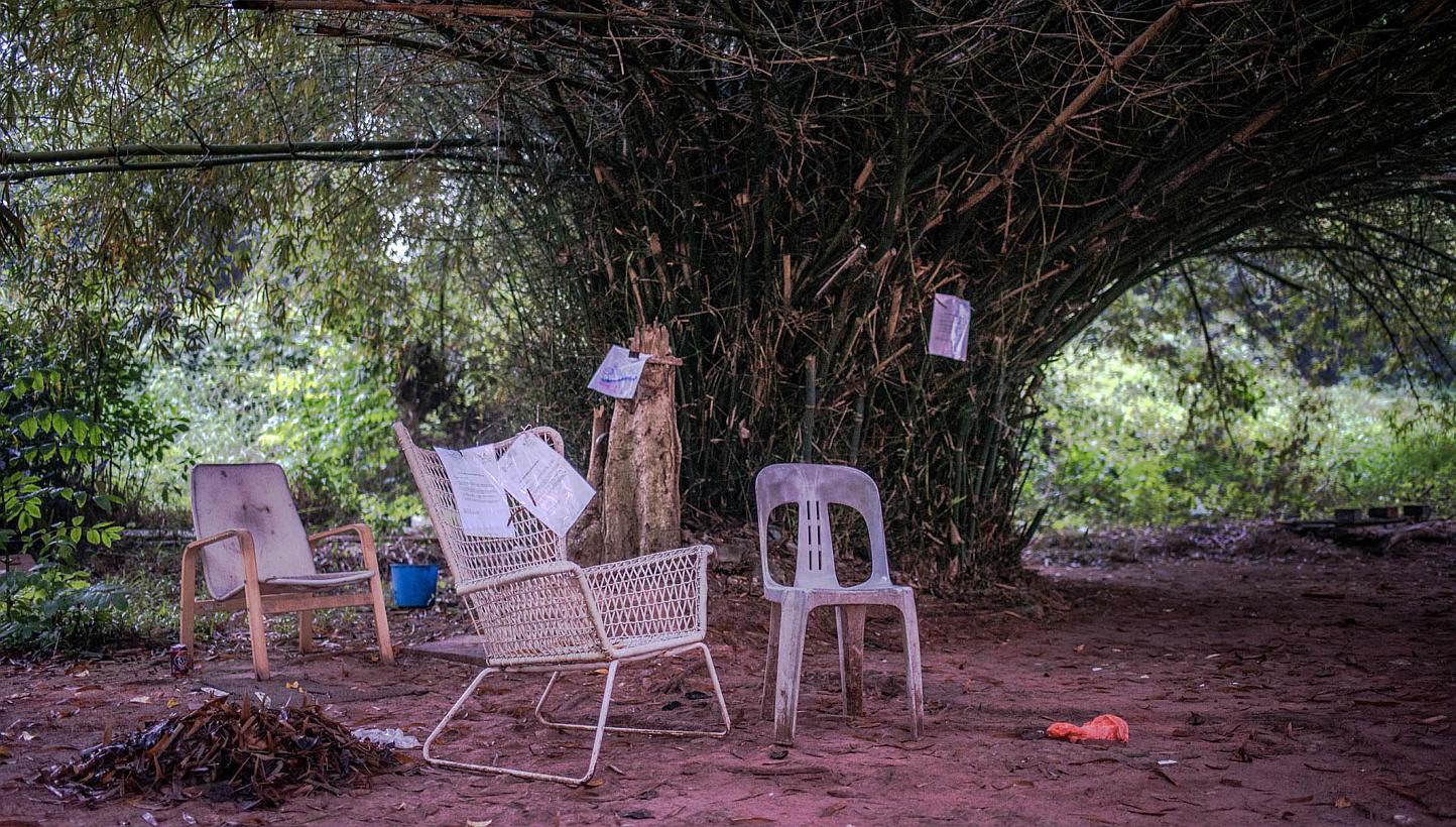 The makeshift community garden near Block 76, Commonwealth Drive. A group of five artists started a Facebook community page and made plans to clean up the site and propose it as an attraction and rest stop along the rail corridor, which runs close to