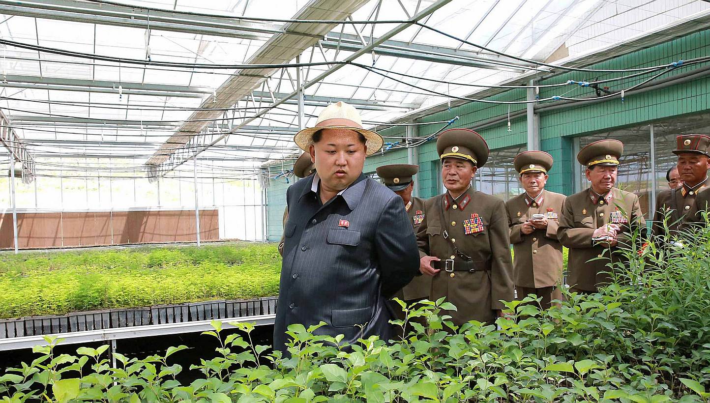 This undated photo released by North Korea's official Korean Central News Agency (KCNA) on May 30, 2015 shows North Korean leader Kim Jong-Un (centre) visiting the general tree nursery under construction by the Korean People's Army. North