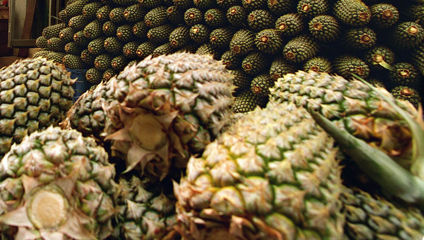 Spanish police seized 200 kgs of cocaine found inside hollowed-out pineapples that arrived by ship from Central America, the interior ministry said on Sunday. -- BT FILE PHOTO