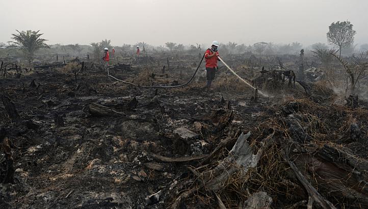 Firefighters employed by Asia Pacific Resources International Holdings Ltd. (April) hose down burnt-off vegetation from forest fires during a media tour of firefighting operations in Riau province in Pelalawan, Riau, Indonesia, on Wednesday, March 5,