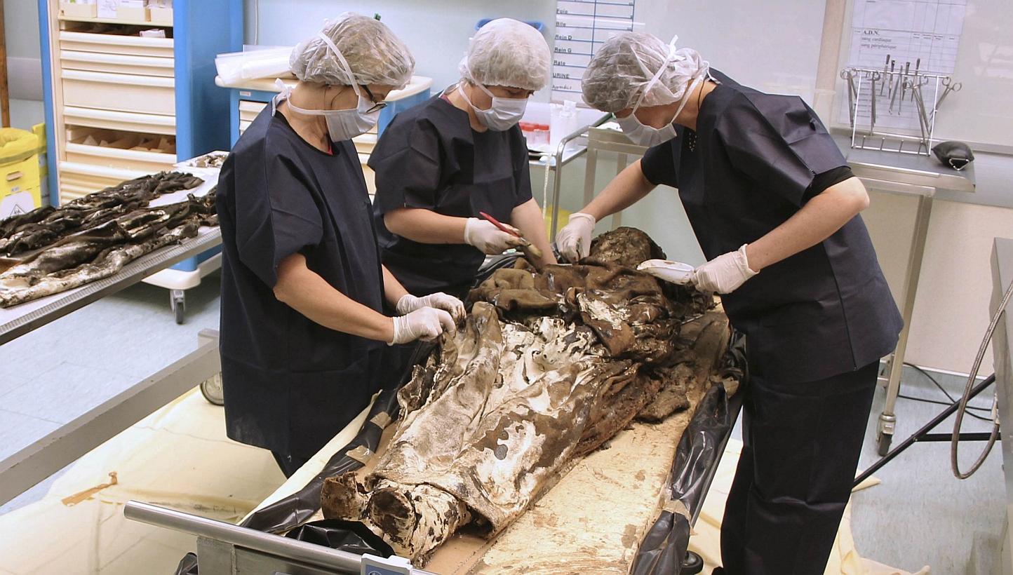 A handout picture taken on 2014 and released by the French National Institute for Preventive Archaeological Research (INRAP) on Tuesday shows archeologists working at the Rangueil forensic institute in Toulouse, after the discovery of a lead coffin c