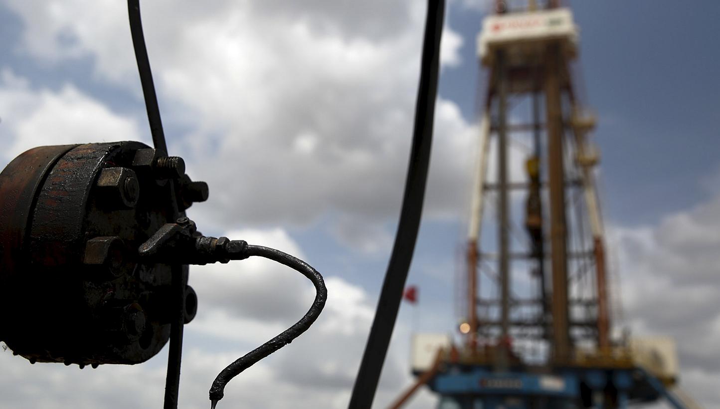 Crude oil drips from a valve at an oil well operated in Venezuela. Oil ministers from Iraq, Venezuela and Angola said in Vienna this week that a price of US$75 or US$80 a barrel could be just fine. -- PHOTO: REUTERS