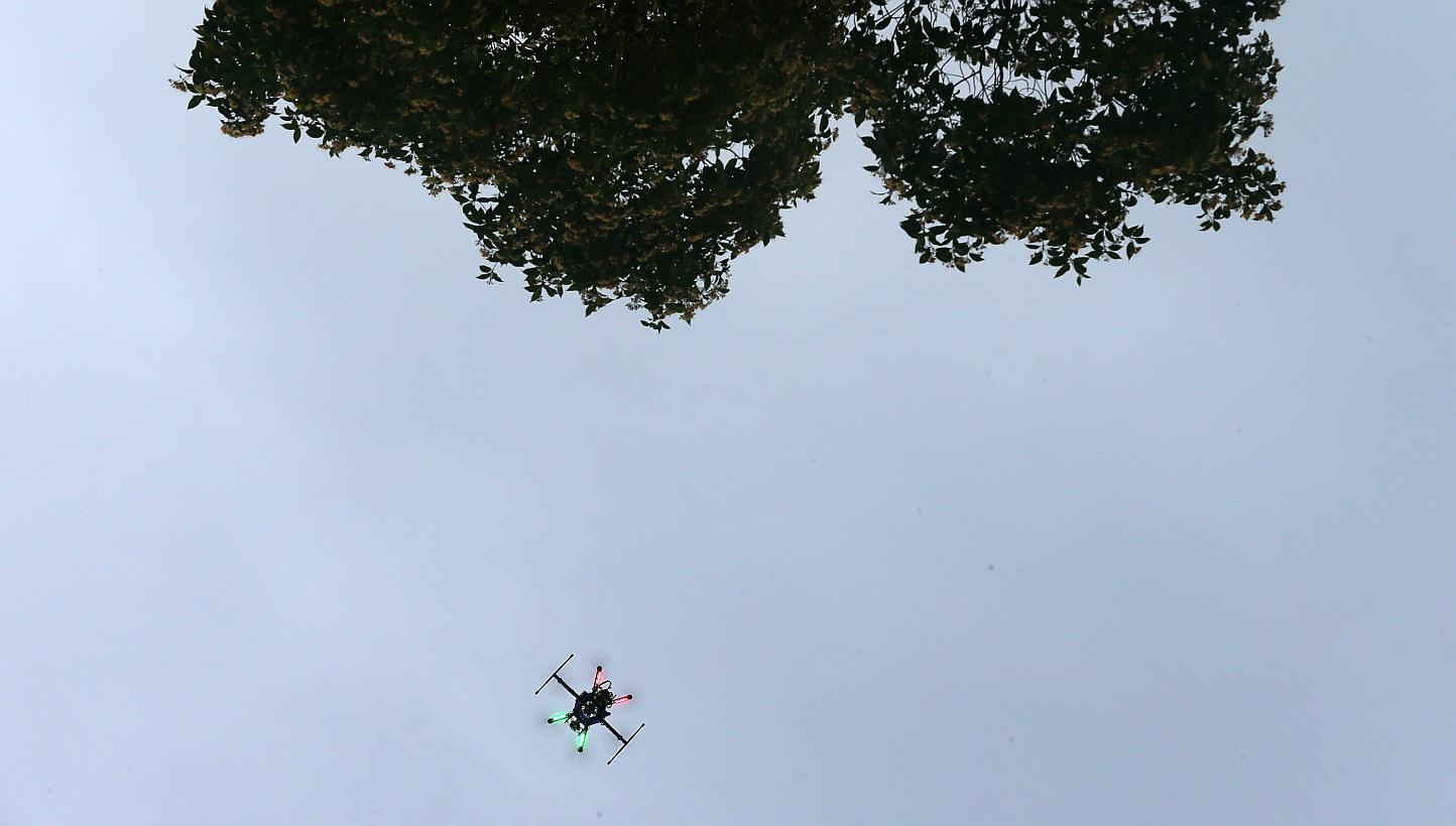 A drone in operation at the Singapore Botanic Gardens on May 31, 2015. A small drone flew within a few hundred feet of a Southwest Airlines flight on Friday as the passenger plane was about to land at the Dallas airport. -- PHOTO: ST FILE