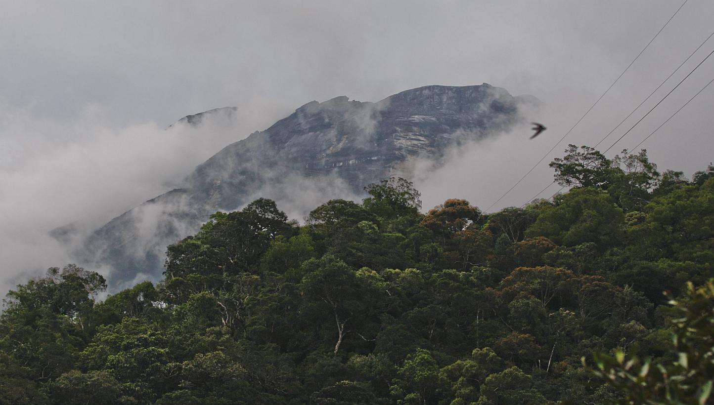 Two Canadians were prevented from leaving Malaysia after they were identified as being part of a group of tourists who stripped to pose for photos atop Sabah's Mount Kinabalu, where a deadly earthquake struck on Friday. -- PHOTO: EPA