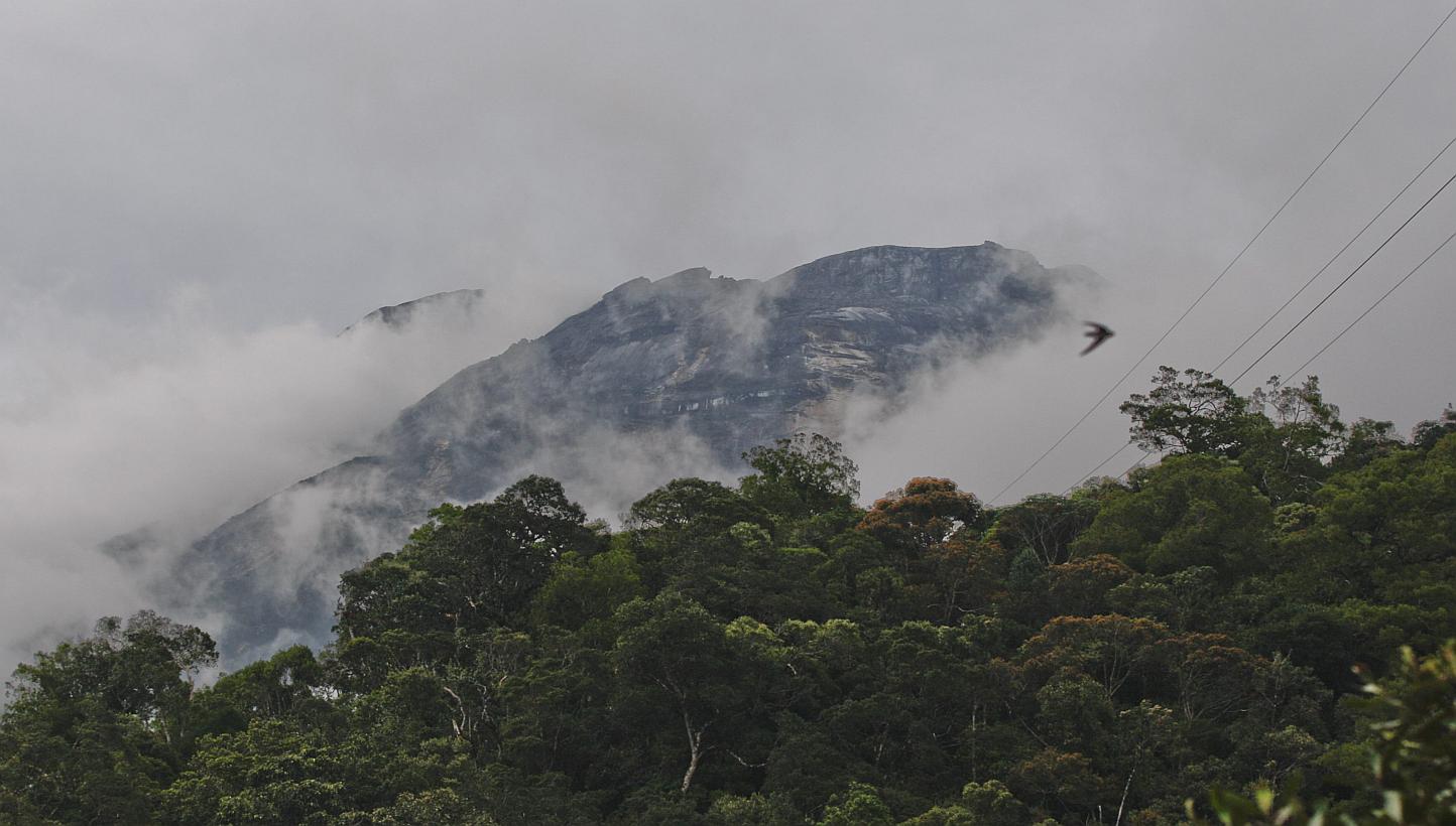 A general view of Mount Kinabalu in Kundasang, Malaysia, on June 6, 2015. Eight people were killed when a 6.0-magnitude quake struck Sabah on Friday (June 5). The victims were part of a group of 29 pupils and eight teachers who were on a field trip t