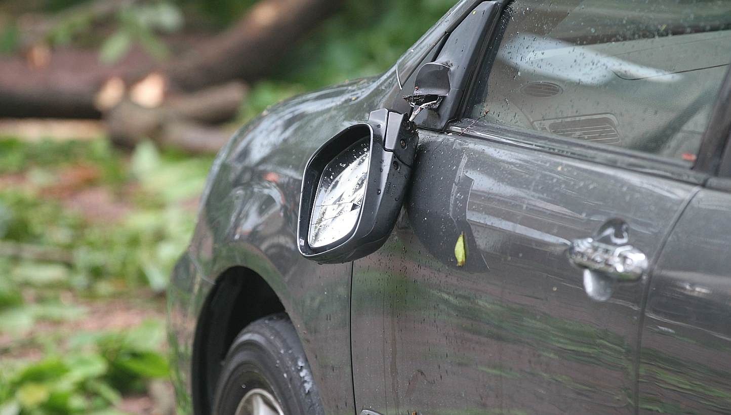 The car's sideview mirror was broken by the falling branch. -- PHOTO: SHIN MIN DAILY NEWS