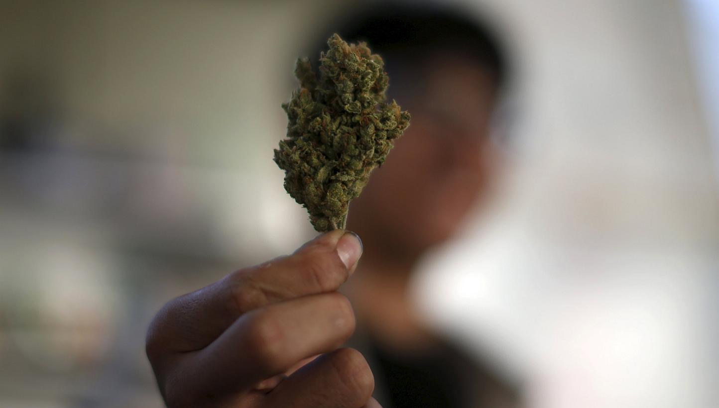 A dried cannabis bud is seen in this March 18, 2014, file photo. -- PHOTO: REUTERS