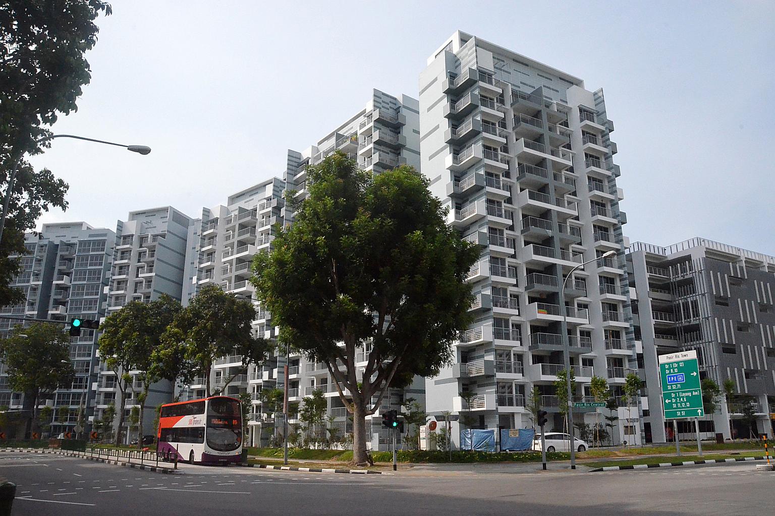 pasirris1150624.jpg