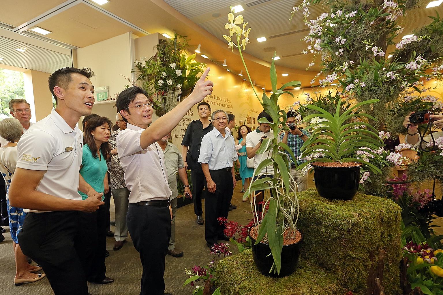 Mr Simon Tan (left), assistant director of the National Orchid Garden, and Mr Lawrence Wong looking at the Aranda Lee Kuan Yew (centre) and Vanda Kwa Geok Choo (right) at the orchid exhibition in the Botanic Gardens yesterday.
