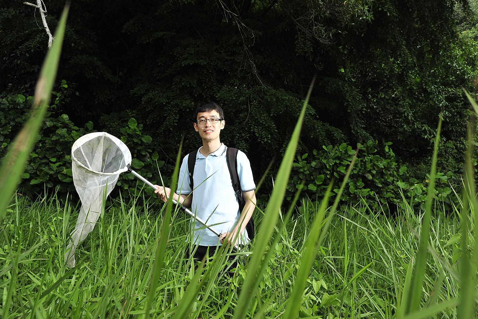 Mr Tan Ming Kai's interest in crickets started when he was in kindergarten, when he would catch and keep them in plastic containers as pets. He made his first discovery in 2011 with a katydid which he named Asiophlugis temasek. He also named another 