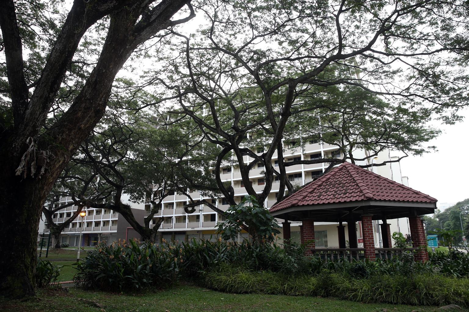 The old estate at Tanglin Halt, comprising seven housing blocks, has been vacant since late 2013 and is slated for redevelopment later this year. The writer's family lived there for many years, part of a close-knit community. For him and his childhoo