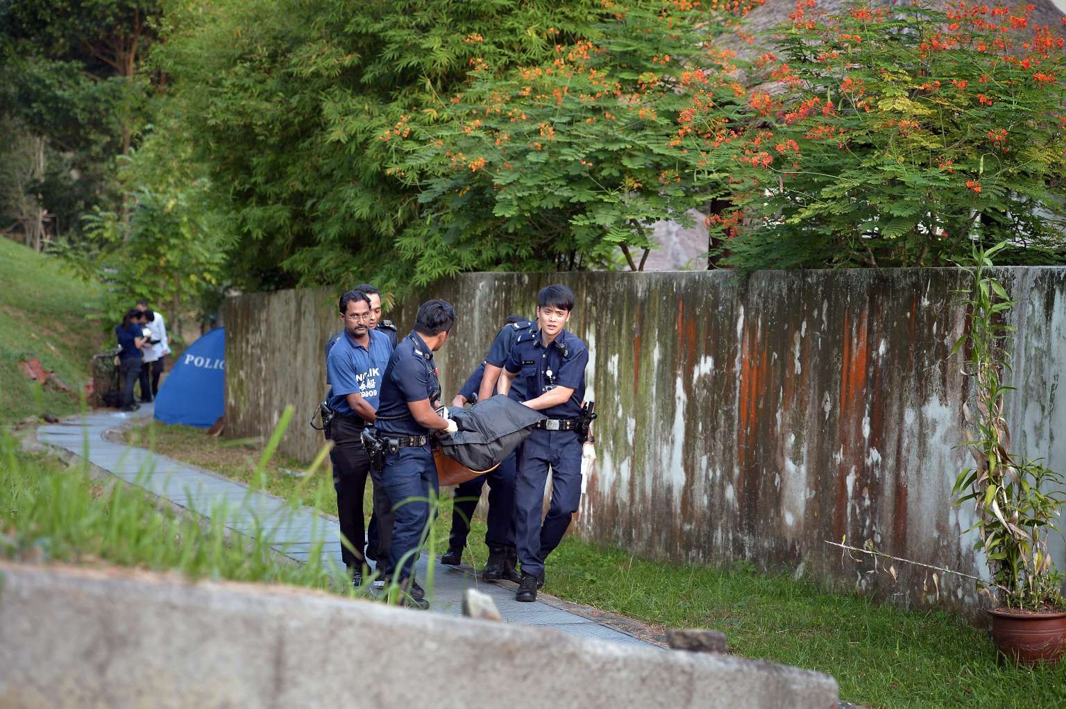 The tree cutter was working in a forested area behind Kheam Hock Road when he was struck. The police have classified the case as an unnatural death.