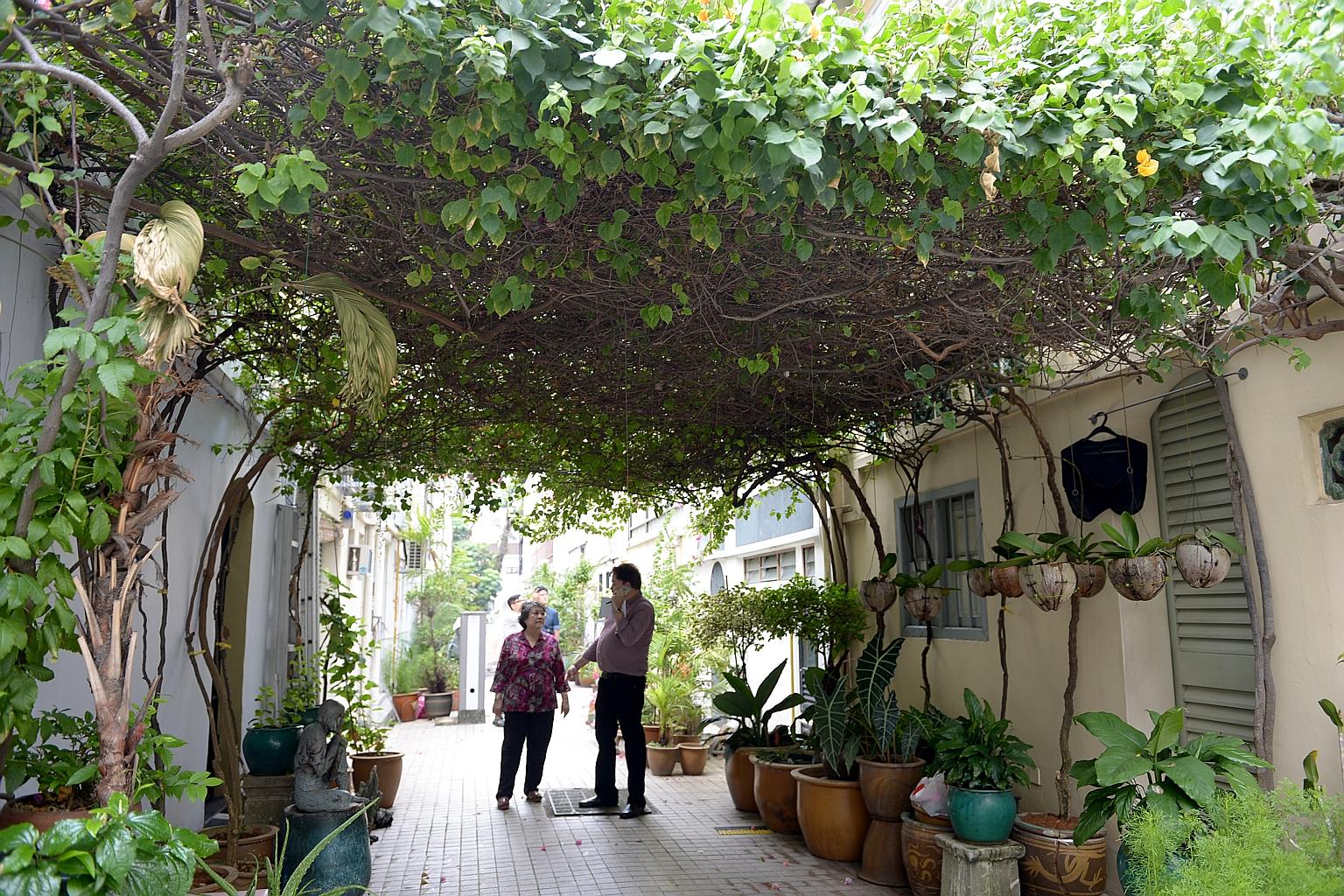 Dr Richard Helfer, vice-president of the Emerald Hill Conservation Association, with retired engineer June Chia, 62, who lives in the neighbourhood. The association counts among its accomplishments the elimination of a stretch of 400 "unsightly bins"