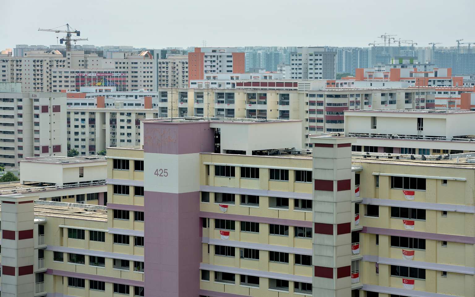 Experts said the new grant and the higher income ceilings for resale flats will draw more buyers, especially in mature estates.