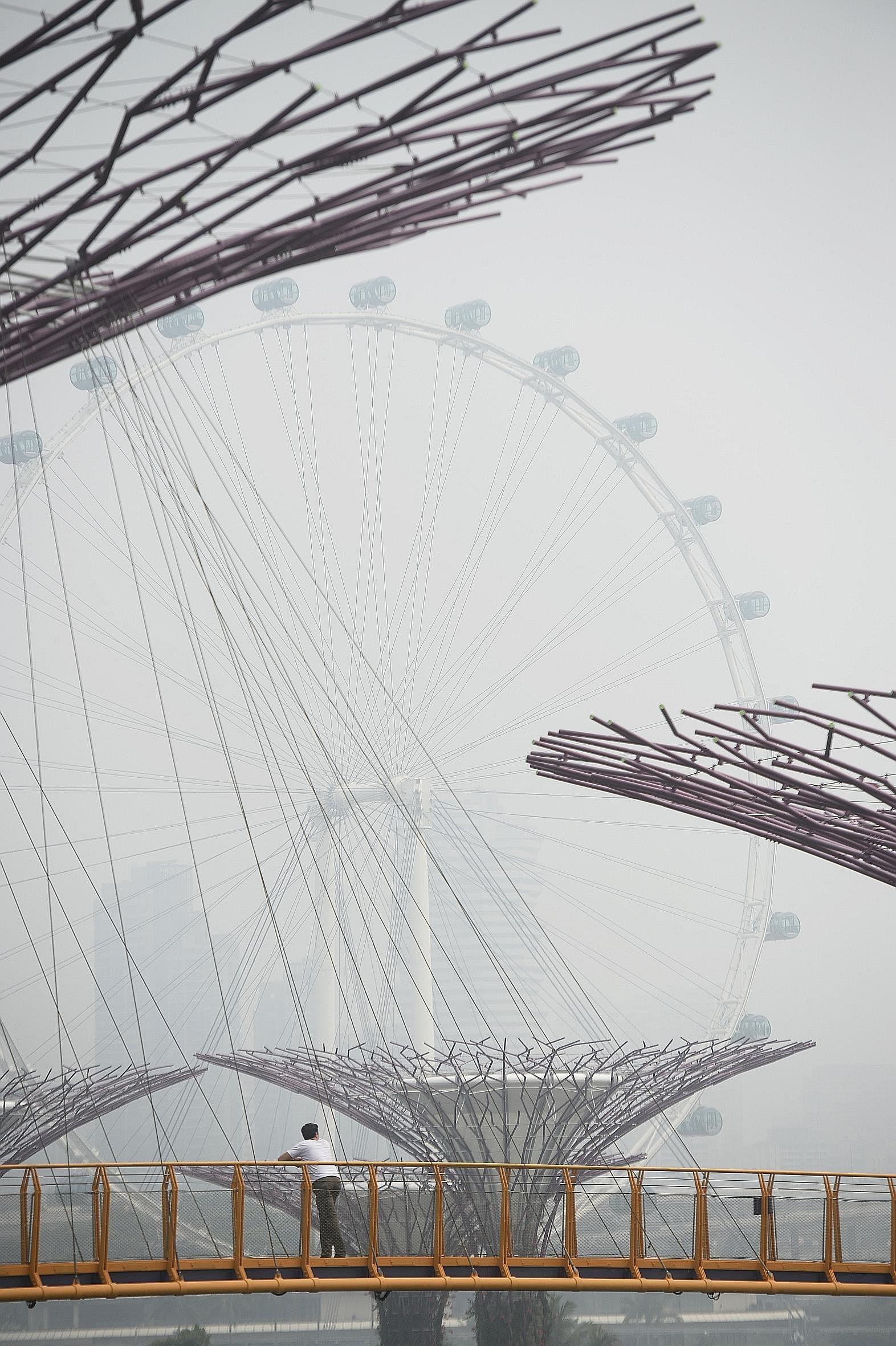 The Singapore Flyer obscured by haze, as seen from Gardens by the Bay yesterday morning. Prevailing winds continued to blow in haze from Sumatra yesterday, causing the air quality here to deteriorate.