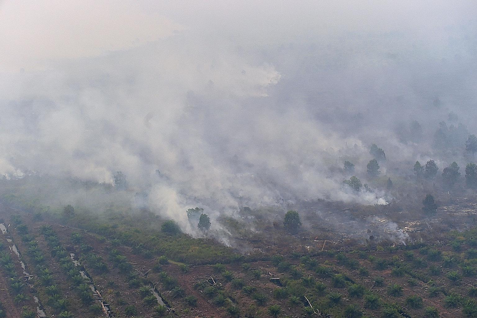 Smoke rising from fires burning at a concession area in Pelalawan, Riau province, yesterday. Green groups have maintained that lenient sentences against errant companies remain a weak link as the deterrent effect has not been felt.