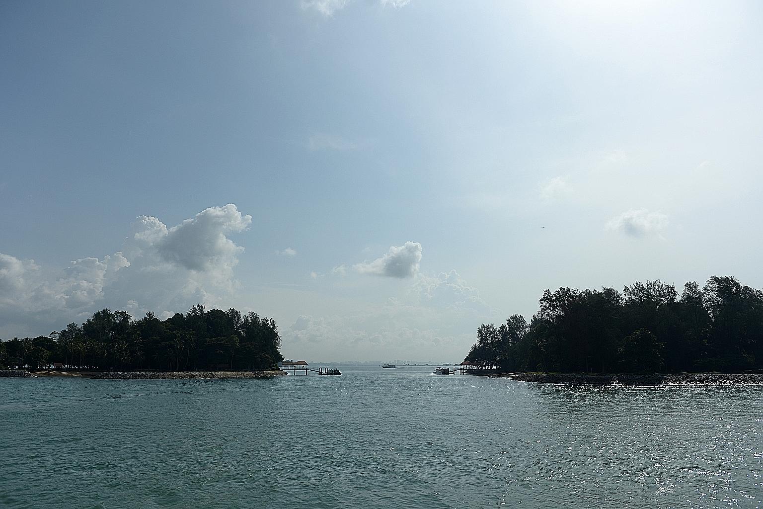 NParks' study shows that corals around Sisters' Islands, home to Singapore's first marine park, are the main source of larvae that are carried to other islands. Singapore has more than 250 species of hard coral, about 40 per cent of the types of cora