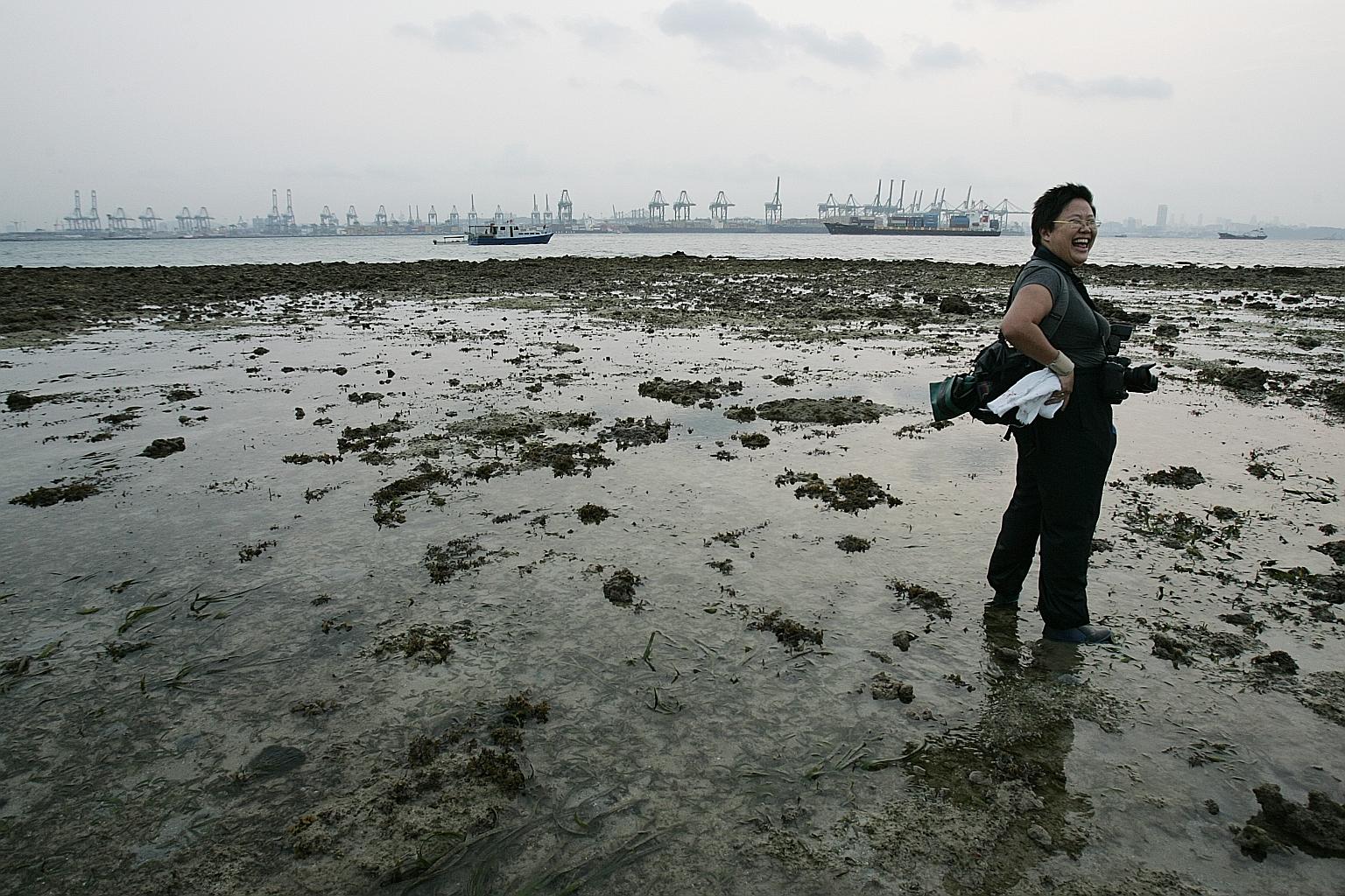 The writer, Ms Ria Tan, is the founder of www.wildsingapore.com. During her rounds of coastal areas in Singapore, she has seen mangrove trees, seagrasses and marine life sprout up on their own on man-made structures.