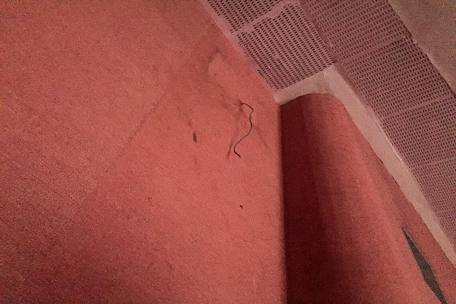 The spot on the wall in the Projector cinema where the speaker was mounted before it fell and hit two women.